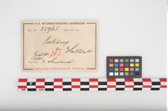 Etikett zu Bronzeknotenarmreif (NHMW-PRAE-025965)